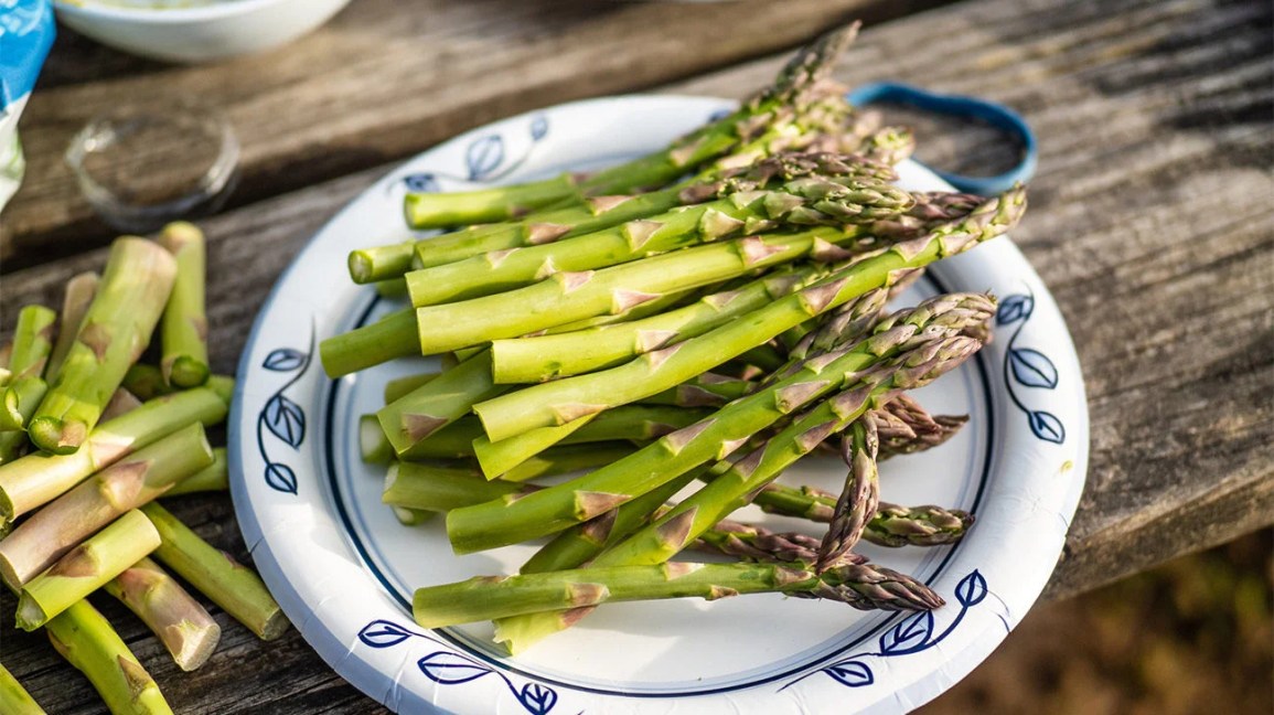 A plate of green asparagus