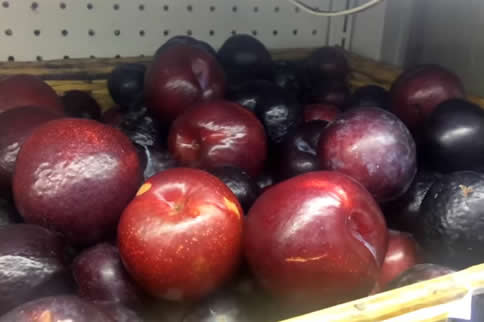 fruit